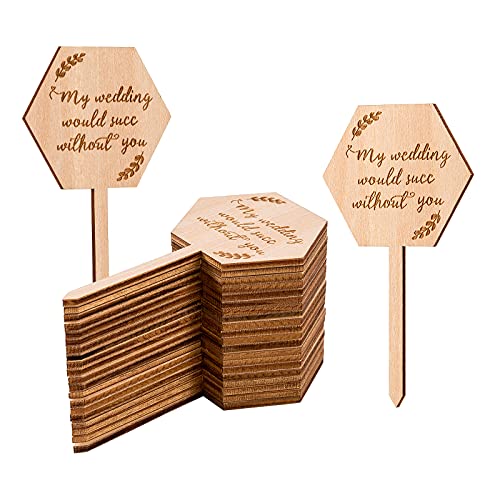 My Wedding Would SUCC Without You Bridesmaid Succulent Tags Bridesmaid Proposal Gifts, PARBEE 20PCS Hexagon Plant Stakes Labels Gift for Bridesmaid Proposal