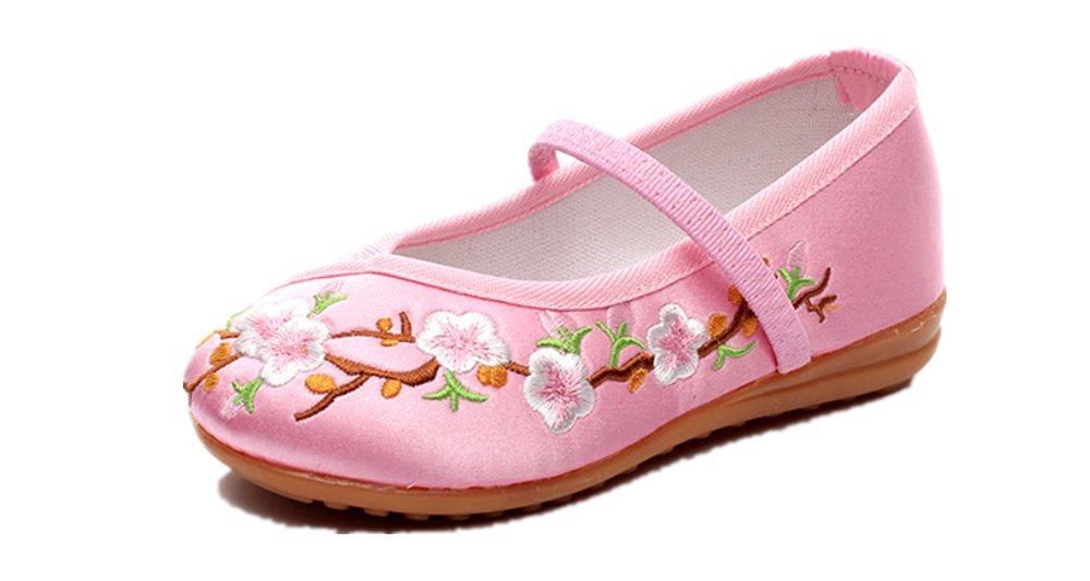 Tianrui Crown Girl's Embroidery Mary-Jane Shoes Kid's Cute Flat Shoe Pink