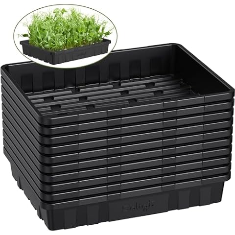 SOLIGT Extra Thick Heavy Duty 10 Pack Seed Starting Trays - Microgreens Growing Trays Seedling Plant Germination Starter Tray Transplant Fodder Flats, No Holes, No Leakage, Reusable, 14 * 10.8 * 2.3"… Cover