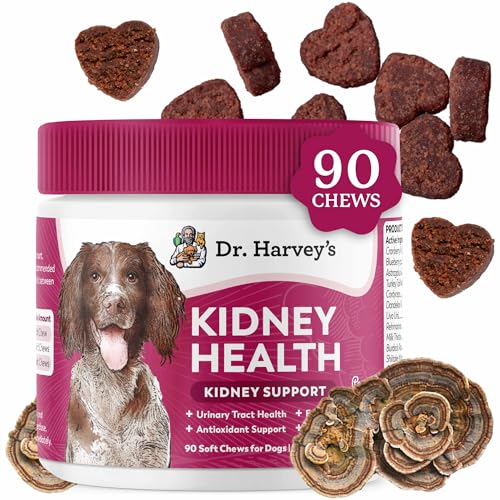 Dr. Harvey’s Kidney Support Soft Chews for Dogs, Renal & Urinary Tract Health Supplement with Turkey Tail Mushroom, 90 Chews