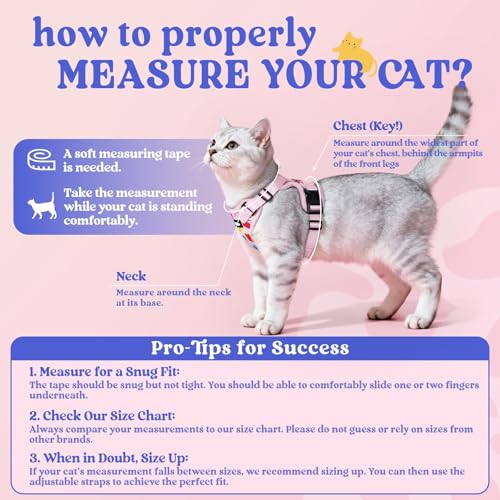 Image of rabbitgoo Cat Harness and Leash Set, Escape Proof Vest, Purrty Pink | Soft Breathable Mesh, Easy Adjustable Fit, Snap Buckles, Sturdy Clip, Reflective Strips, for Kittens & Small Cats Walks, Xxs