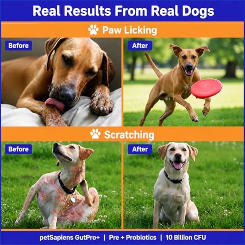 Image of PETSAPIENS Pre + Probiotic Supplement for Dogs (120g) | 10B CFU | Boosts Gut Health & Immunity | Gluten-Free | Vet Formulated | Prevents Scratching, Paw-Licking & Indigestion | Chicken Flavour