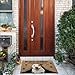 Ganshan Bi Custom Doormat with Funny Dog Brown Labradoodle Welcome Floor Mat Door Mat No Need to Knock I Know You're Here 35.4
