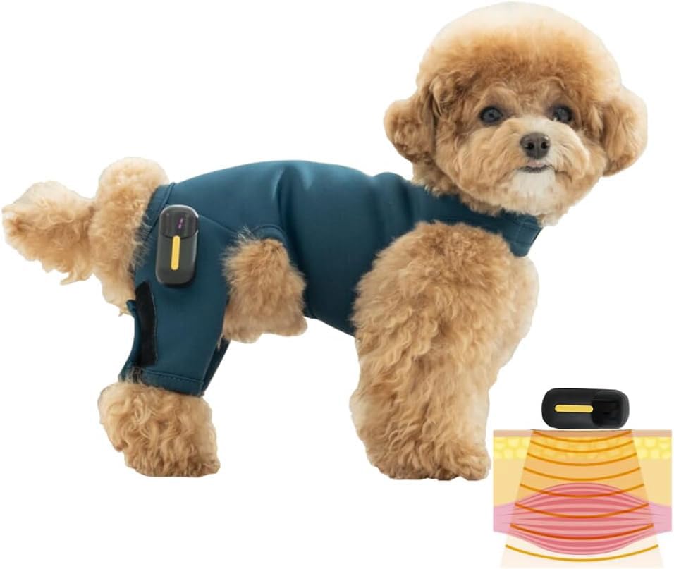 Amazon | 【犬用 EMSトレーニングスーツ】犬 膝蓋骨脱臼 ケア EMS