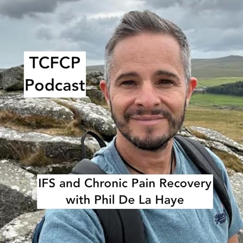 S5 E1 - Nicole in the Hot Seat - IFS Session LIVE with Phil De La Haye cover art