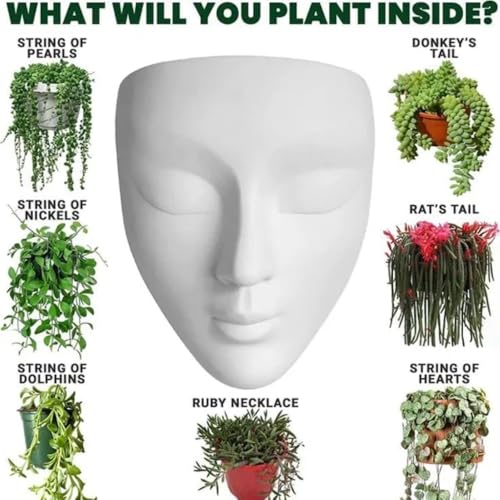Image of Ceramic Lady Face Wall Hanging Planter | 17.5 x 13.5 cm Abstract Face Vase for Indoor Wall, Living Room, Balcony & Home Decor (White)