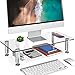 Price comparison product image FITUEYES Monitor Stand Glass Height Adjustable PC Laptop Computer Screen Riser, Home Office Supplies Desk Organizer 38.5x24cm