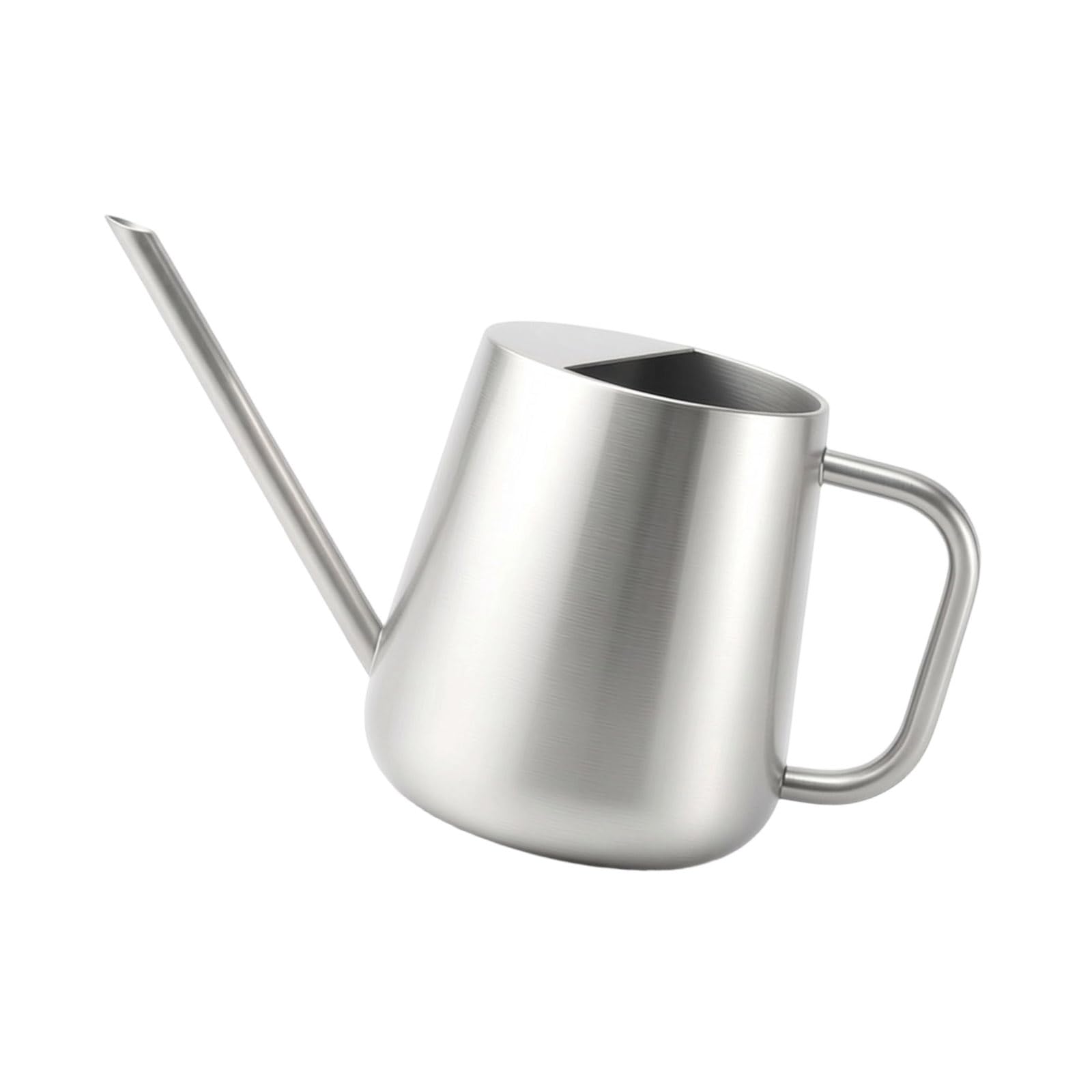 Watering Can Indoor Small for House Plant with Long Spout Stainless Steel 1000ml for Flowers Small Stainless Steel Watering Can