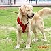 Puppia Soft Dog Harness No Choke Over-The-Head Triple Layered Breathable Mesh Adjustable Chest Belt and Quick-Release Buckle, Red, Small