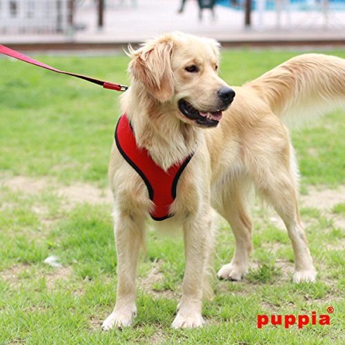 Puppia Hundegeschirr für kleine und mittelgroße Hunde - super weich in vielen Farben - Auch als Welpengeschirr verwendbar -Antizuggeschirr für Hunde, Rot, S