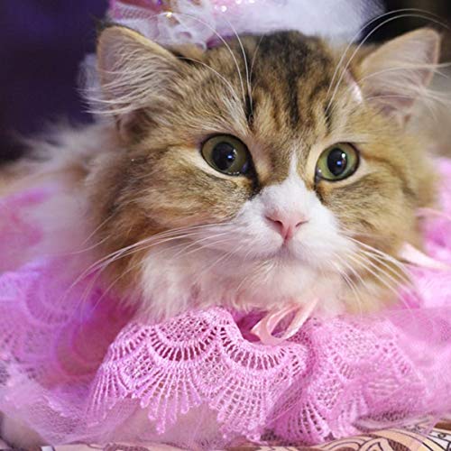 Myartbucket Pink Lace Bandana For Dogs And Cats|Dog Bandana (Adjustable) - 1 Count (B08P54BGVD) Amazon Price History, Amazon Price Tracker