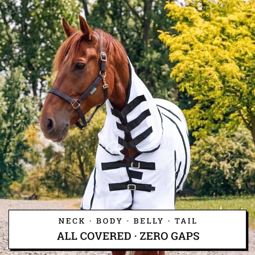 Image of Horse Fly Sheet with Attached Neck Cover & Tail Flap | UV Protection Mesh Horse Blanket, Full Body Bug & Sun Shield, Buckles, Belly Wrap & Gussets for Spring Summer Riding Rug (White, 76 inch)