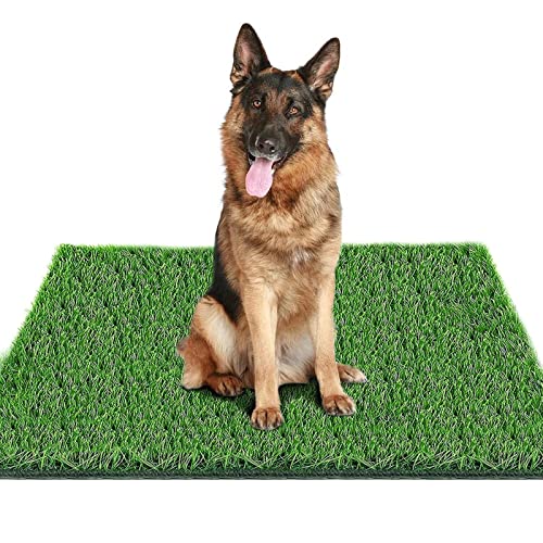STARROAD-TIM 80 * 100CM Erba per Cani -Tappeto Erba per Cani Pipi-Tappetino Erba Sintetica per Cani- Erba Artificiale per Cani-per Interni ed Esterni, Vasino, Terrazzo, Prato, Decorazione