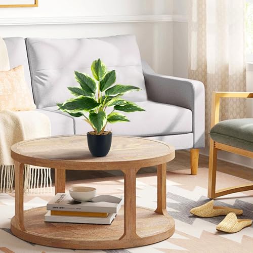 SHEPIN 2 Stück Kunstpflanze Wie Echt, Künstliche Pflanzen im Topf Zimmerpflanzen, 37cm Kunstpflanzen Dekopflanze Fake Plant Plastik Pflanze für Badezimmer Büro Küche Badezimmer Dekoration (A)