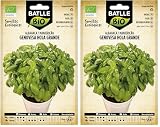 Semillas Batlle Albahaca Genovesa hoja grande – ECO (Paquete de 2)