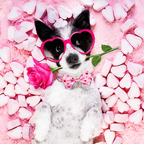 Pohshido Valentine's Cat Collar with Bow Tie and Bell, Holiday Breakaway Loving Heart Kitty Kitten Collar for Girls and… - Image 5