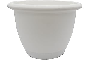 12-14 Inch Large Flower Pots: An Enduring Haven for Your Indoor Beauties