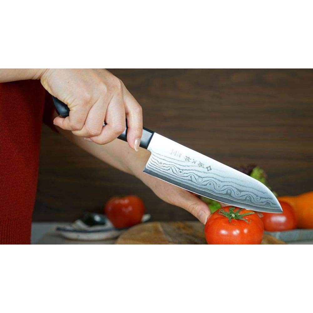 TOJIRO DP Damaskus japanisches Messer Santoku ECOWOOD