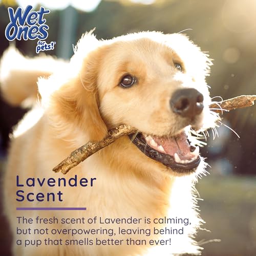 Image of Wet Ones for Pets Antibacterial Calming Dog Wipes with Chamomile and Lavender Scent - Kills 99.99% of Germs, Durable Disposable Paw Wipes for Pets, 30 Count