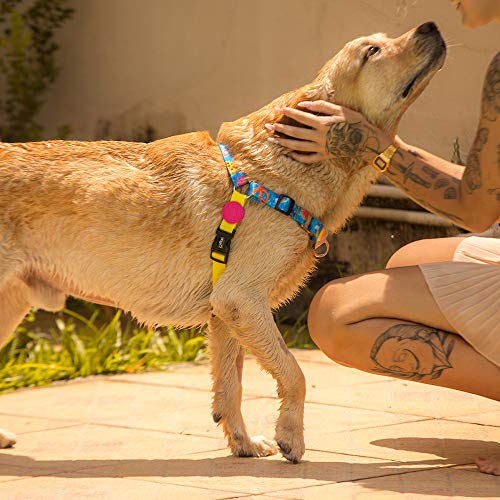Peitoral Para Cachorros dog27 Summer Tamanho:PP