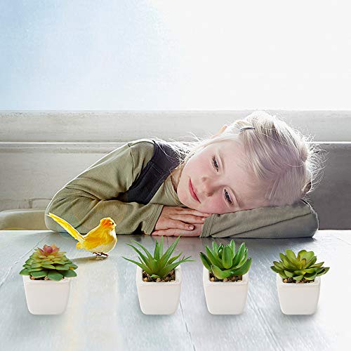 Artificial Succulent Plants, Set of 4 Small Fake Plants Mini Potted Succulent Plants with White Ceramic Pots, Decorative Fuax Plant for Home House Table Balcony Office indoor Outdoor Decor Accessories