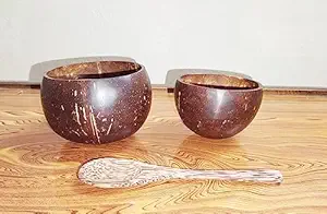 APSM IMPEX Eco Friendly Coconut Shell Bowls, Handcrafted from Coconut Shells Bowl Pack of 1-320 Ml, 1-220 Ml and Coconut Wood Spoon -1