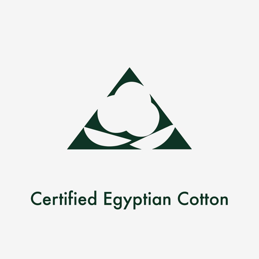 Ethereal Bedding Ultra Soft 800 Thread Count Egyptian Cotton 1-Piece Flat Sheet (Top Sheet) Solid Beige King Size