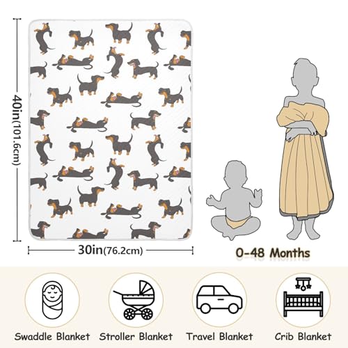 30"x40" Baby Cotton Blanket Playful Dachshund Nursery Blankets for Infants Receiving Blanket Swaddle Blanket3