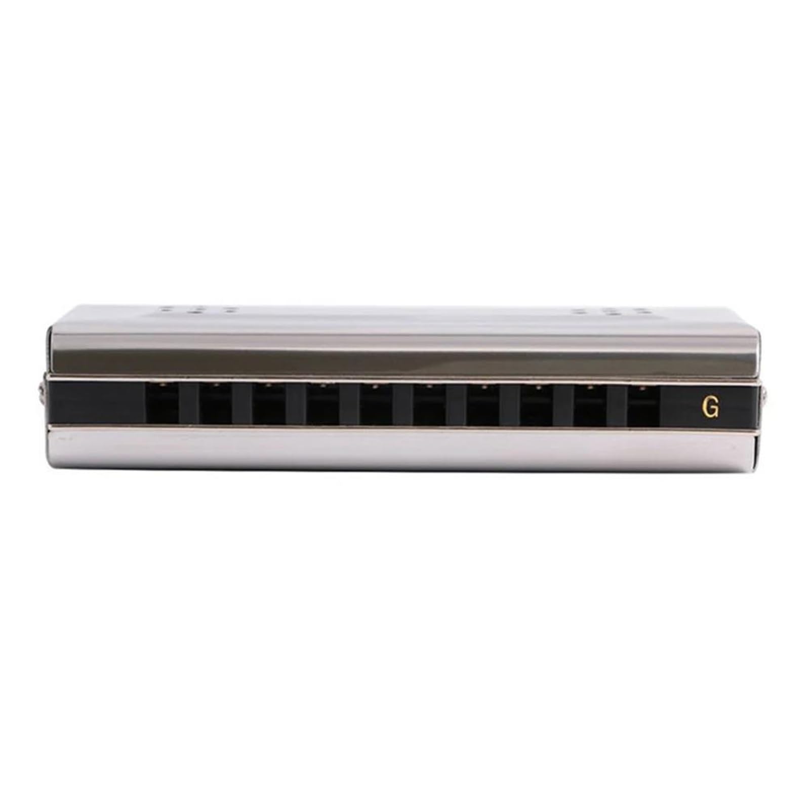 Armonica A Bocca A Doppia Faccia A 10 Fori 2 In 1 Diatonica In Do E Sol Per Adulti Blues