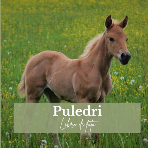  Puledri: Libro di foto