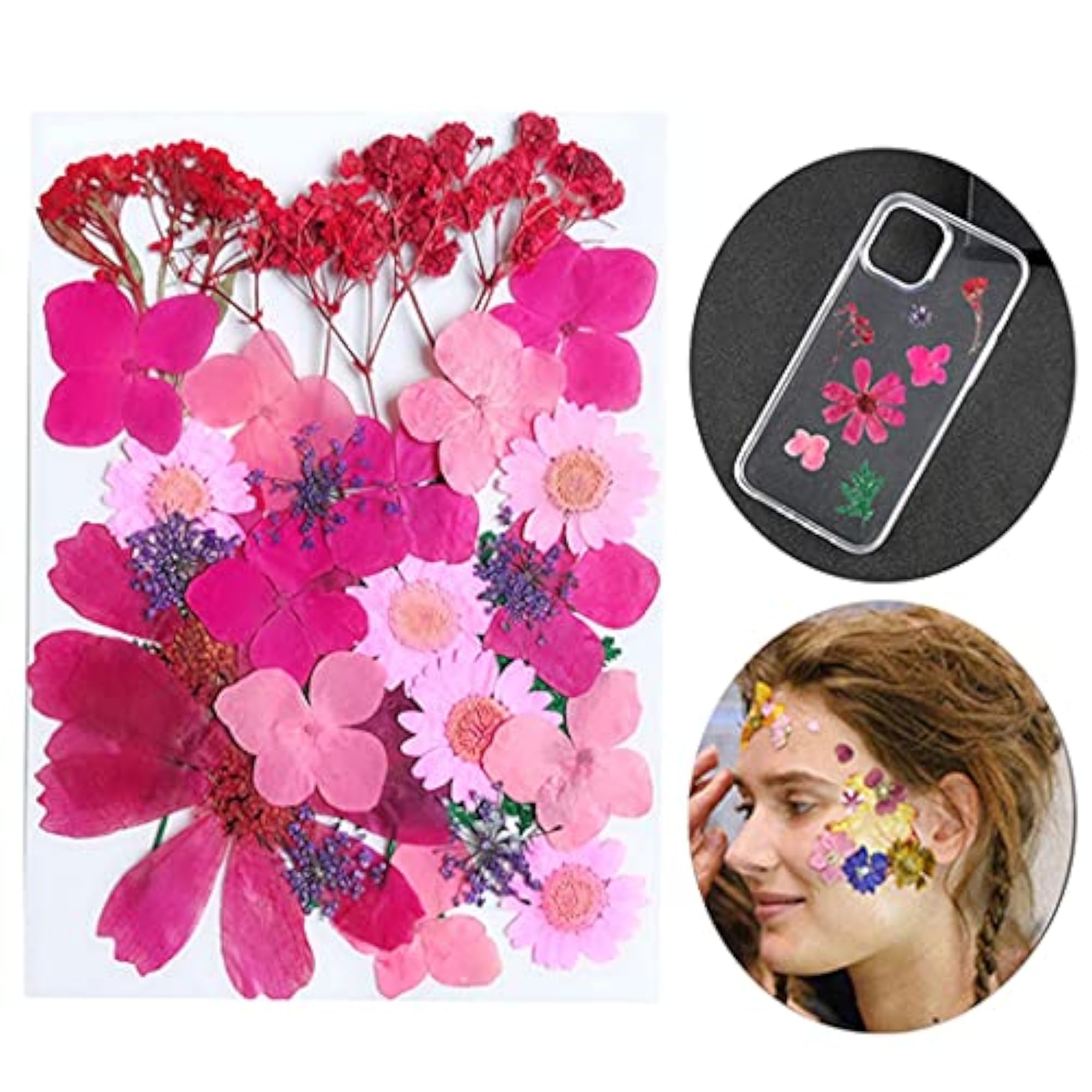 Real Dried Flower Set for DIY Craft Projects