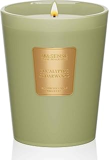 M&SENSE Eucalyptus Cedarwood Soy Candle, 14.1oz 60H Long Lasting, Aromatherapy Candle for Office Relaxation Winter Home Decor Housewarming Gifts