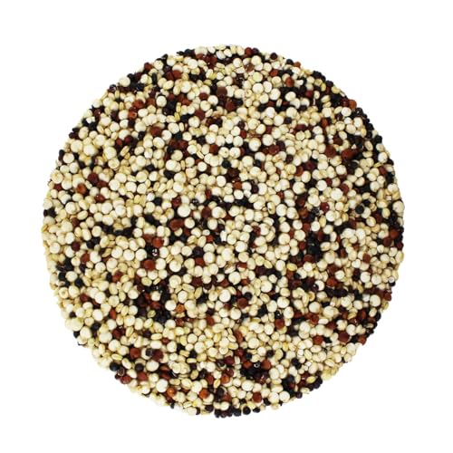 Organic Quinoa Grain (Tricolour) 5kg (BWFO) - 2