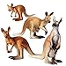 FLORMOON Figure Animali 4pcs Realistico Canguri Modello di Azione Plastica Animale Selvaggio Apprendimento Bomboniere per Feste educativo Foresta Giocattoli agricoli Regalo per Bambini