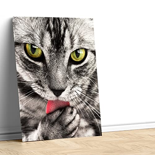 Tableau chat tigré yeux vert pour habiller un mur vide - 4