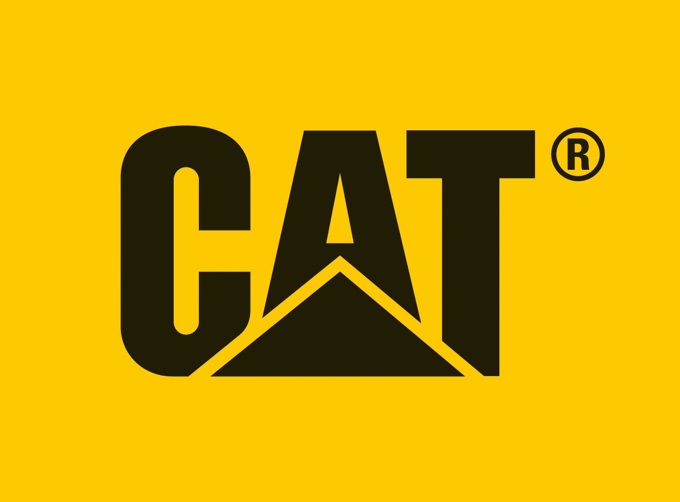 Cat Footwear Men's Cat Footwear Boots