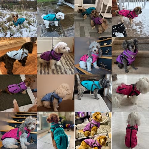 Savlot Hundemantel mit Geschirr wasserdichte Hundejacke, Gepolsterte Hundeweste Reflektierende Hundekleidung mit Reißverschluss