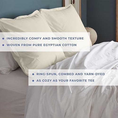 Miniatura 3 de Kotton Culture Juego de 2 fundas de cojín EuroShams 100% algodón egipcio de 600 hilos, fundas protectoras de alta calidad (26 x 26 pulgadas, marfil)