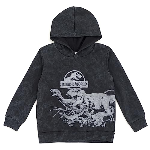 Jurassic World Jurassic Park Blue T-Rex Big Boys Fleece Pullover Hoodie Tie Dye Gray 10-12