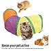 Zerodis Cat Tunnel,Rainbow Soft Foldable Cute Interactive Cat Toy Bed Cat Cave Pet Tunnel Tube Condos Cat House Cat Tent for Indoor Dog Cat Fun Toy Bed