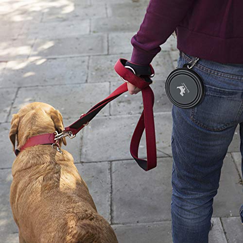 Image of Rest-Eazzzy Collapsible Dog Bowls for Travel, 2-Pack Dog Portable Water Bowl for Dogs Cats Pet Foldable Feeding Watering Dish for Traveling Camping Walking with 2 Carabiners, BPA Free (Grey&Pink)