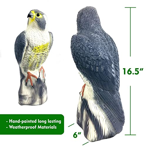Giftexpress 2 Pk 16.5" Scarecrow Eagle Fake Hawk Decoy Statue, Pest Repellent, Bird Control, Garden Protectors, Outdoor Falcon Garden Décor, Eagle Repeller (2) #TOP1
