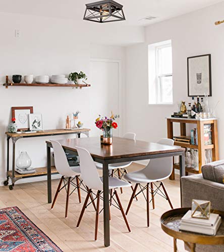 Danseer Lighting Industrial Flush Mount Ceiling Light Fixture Oil Rubbed Bronze 2 Light #TOP5