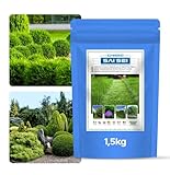 GREEN ORO CHISSO SAI SEI 1,5KG Fertilizante regenerador para césped sano y denso