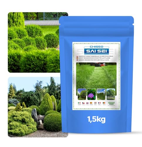GREEN ORO CHISSO SAI SEI 1,5KG Engrais régénérant pour gazon sain et dense