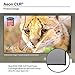 Elite Screens Aeon CLR Series, 100-inch 16:9, Edge Free Ambient Light Rejecting Fixed Frame Projector Screen, Ceiling Light Rejecting Projection Material for Ultra-Short Throw