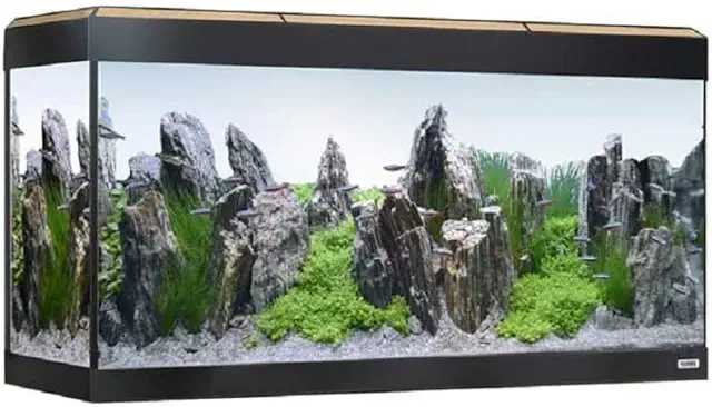 Fluval Roma 200L Aquarium avec Éclairage LED Bluetooth en Chêne