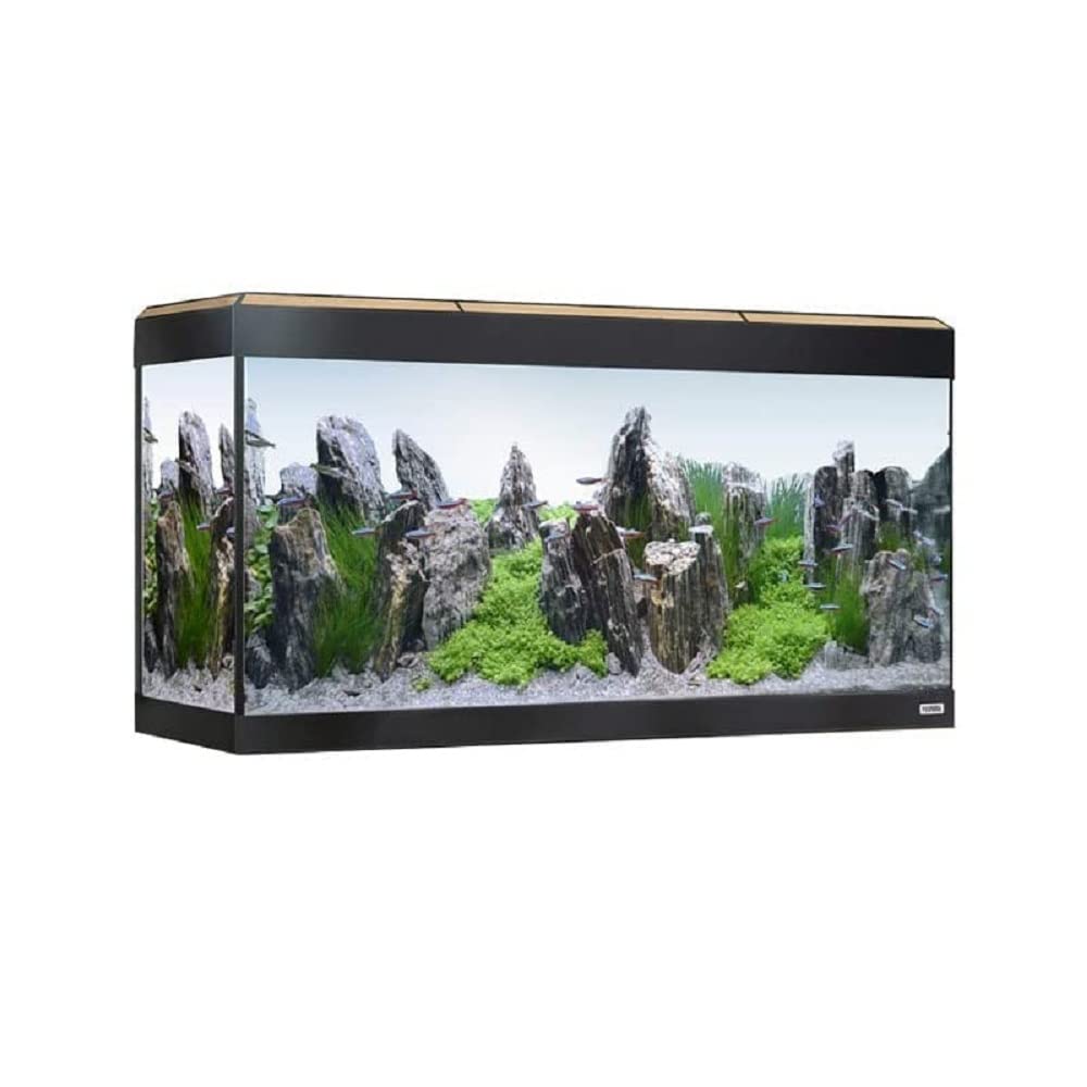 Kit Acuario con iluminación LED Bluetooth Fluval Roma, 200 l, Roble