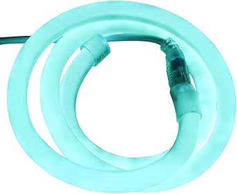 Amazon.com: XUNATA 3.3ft LED Neon Rope Light, DC 12V 2835 Round Tube ...