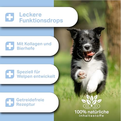 MEDIDOG Welpenstärker – 400g – 13in1 für Welpen und Junge Hunde – für die Wachstumsphase, mit Bierhefe, Calcium, Kollagen, Spirulina, Chlorella, Algenöl UVM.- kaltgepresst & getreidefreie Rezeptur